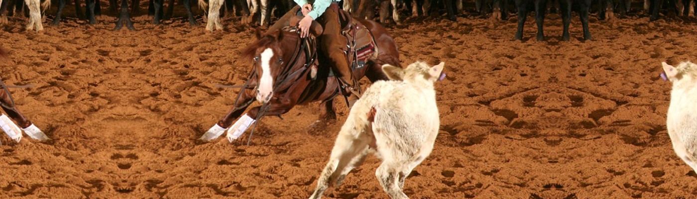 Cullen Chartier Cutting Horses